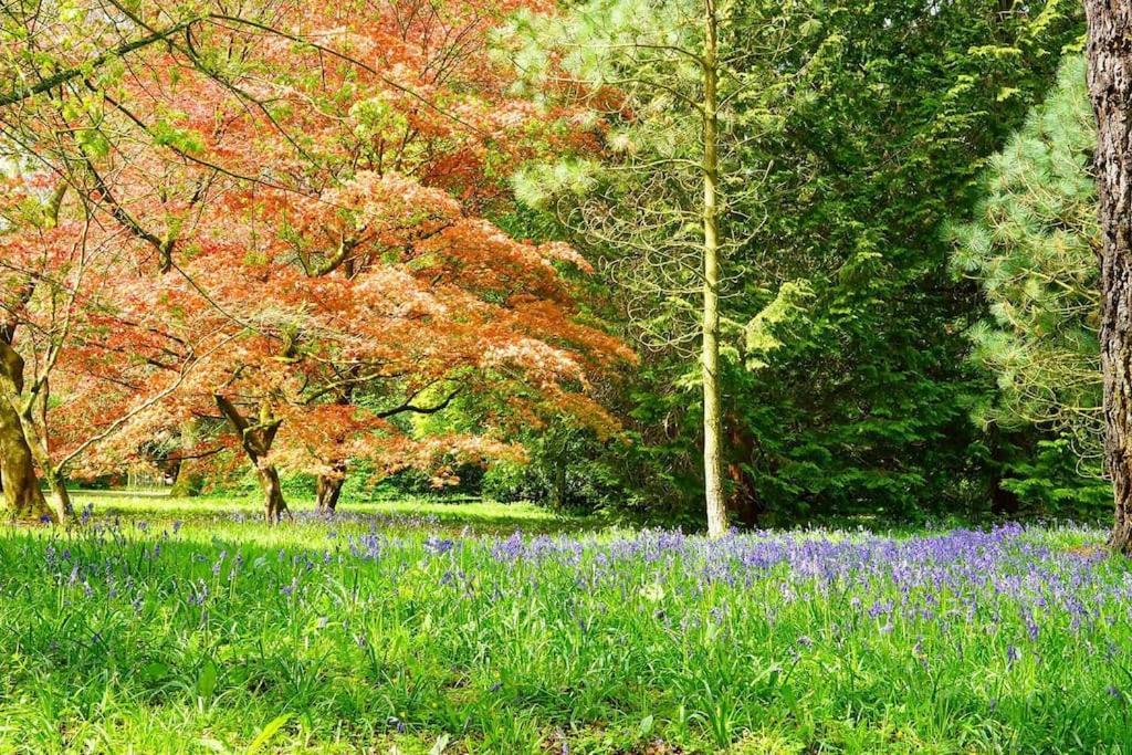 Cotswold Manor House - Country House Retreat With Hot Tub, Ideal For Large Groups Petty France Екстериор снимка